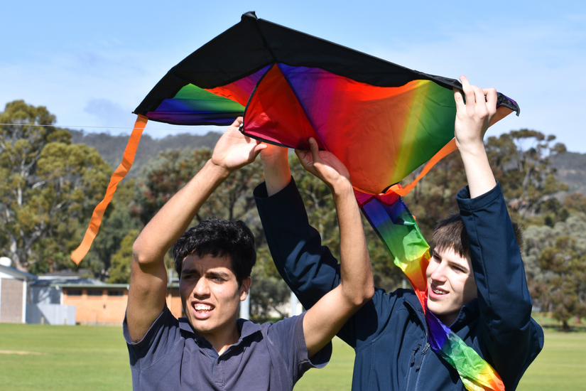 Kite 4 laws 004.jpg Kite 4 laws 004.jpg