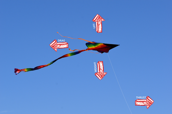 Kite 4 laws.jpg